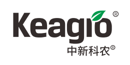 Z6��������ʱ���й����ٷ���վ